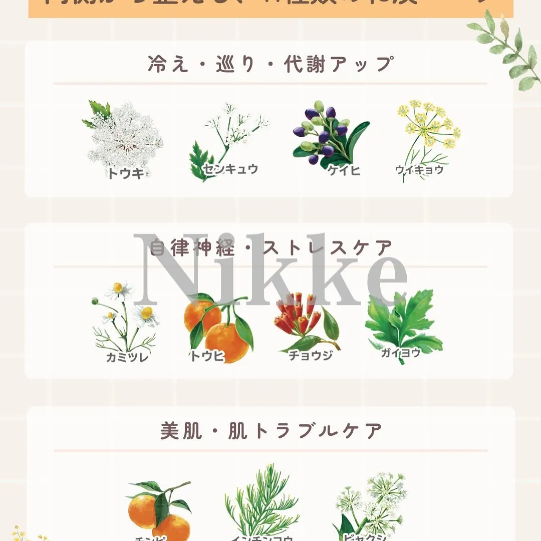 【バーブ🌿について】