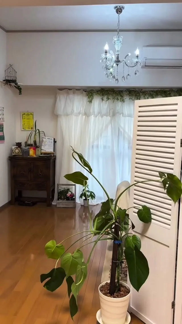 本気で変わりたいあなたへ✨️